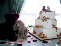 Nikita+Lenore Wedding Toronto - 092 